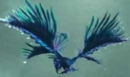 九天玄鸟在线免费观看,免费畅享仙侠奇幻之旅